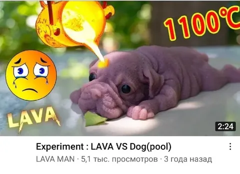 Lava Versus Sad Puppy