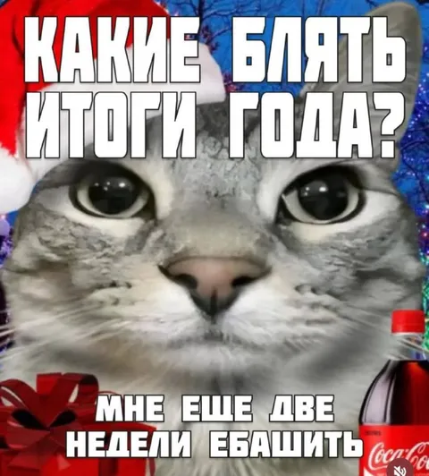 Кот в ожидании Нового года