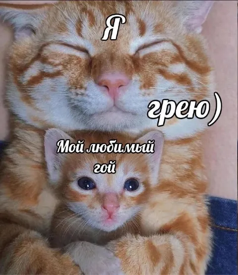 Мой любимый год