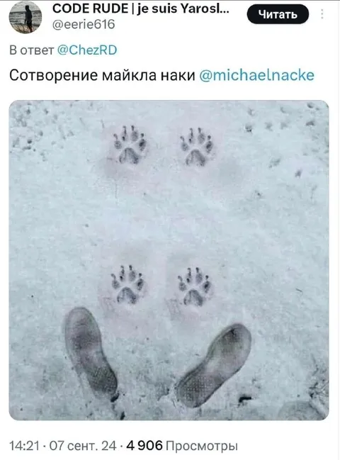 Сотворение Майкла Наки