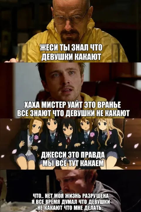 Девушки тоже какают