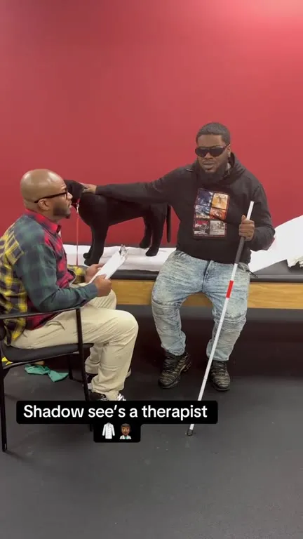 Shadow Sees a Therapist