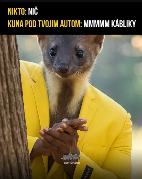 Kuna žerie kábliky pod autom