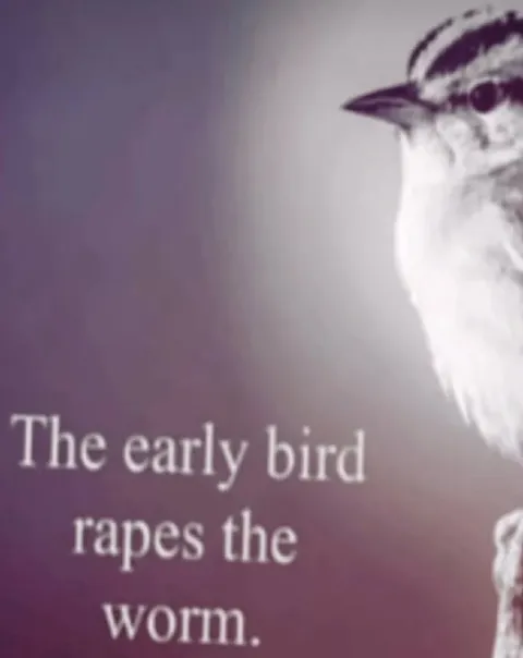 The Early Bird Rapes the Worm