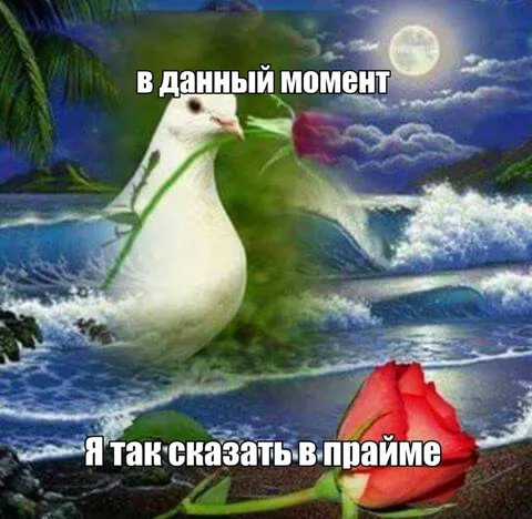 В данный момент в прайме