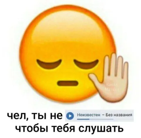 Чел, ты не чтобы тебя слушать