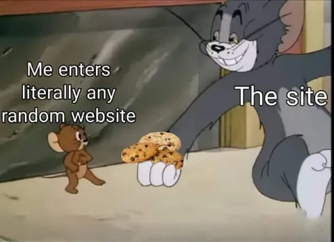 Random Website Cookie Trap