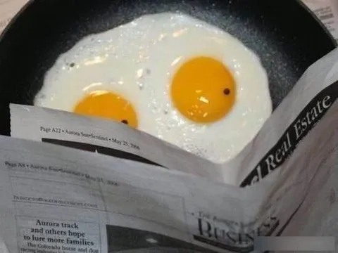 Eggs Reading the Newspaper
