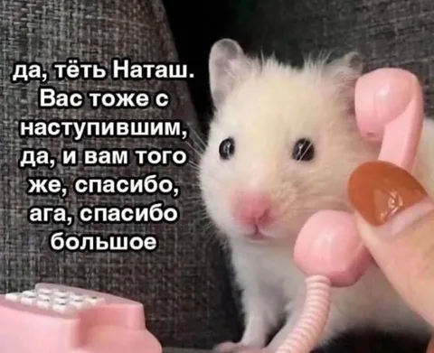 Хомяк вежливо разговаривает по телефону