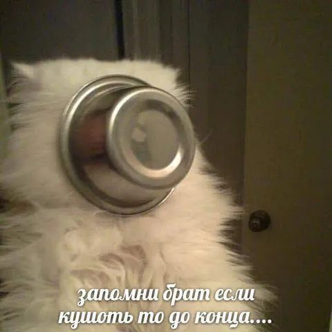Кушать нужно до конца