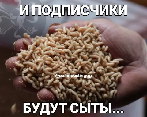 Подписчики будут сыты