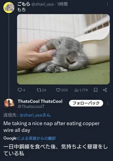 銅線を食べて昼寝する私