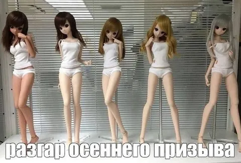 Разгар осеннего призыва