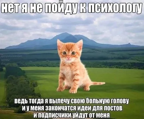 Кот не хочет к психологу