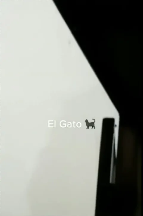El Gato aparece de repente