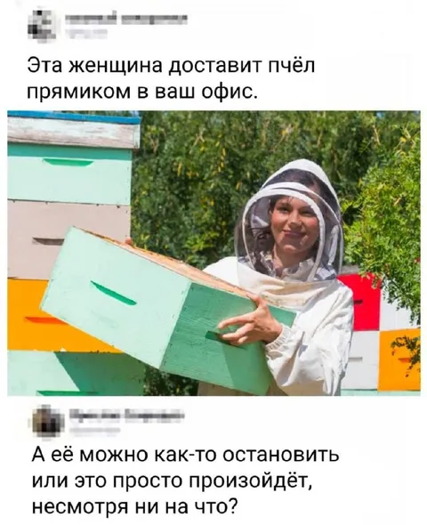 Пчёлы прямиком в офис