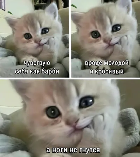 Молодой и кросивый, но ноги не гнутся
