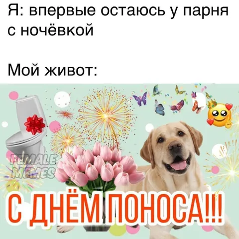 Живот поздравляет с ночёвкой