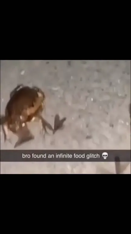 Frog Finds Infinite Food Glitch