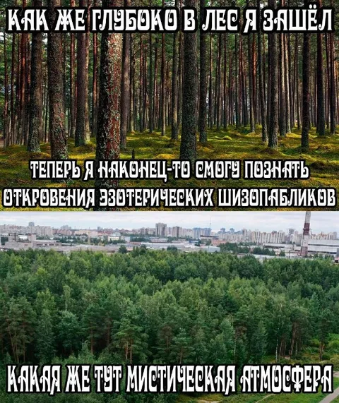 Глубоко в лес за мистикой