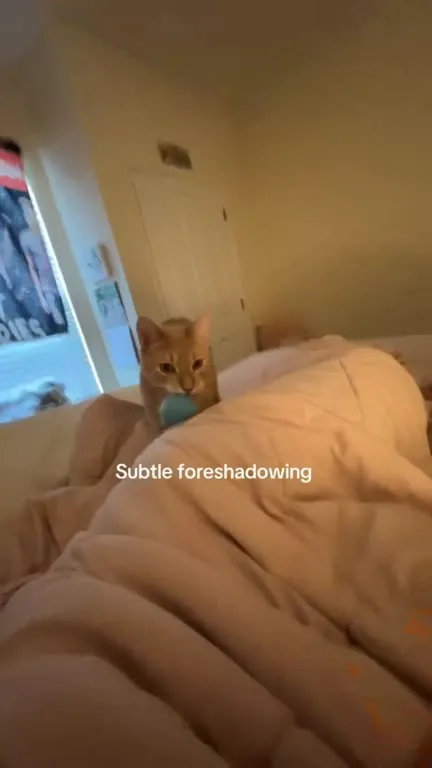 Subtle Cat Foreshadowing