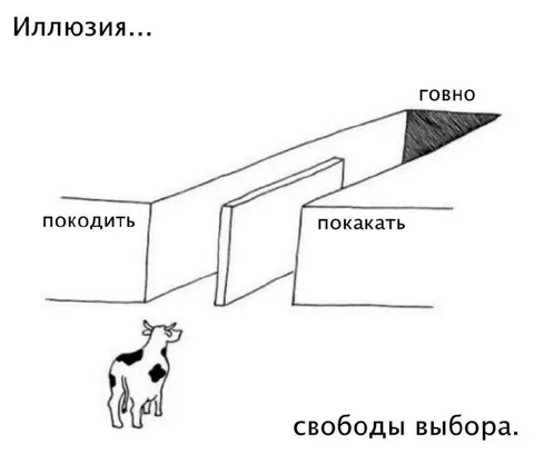 Иллюзия свободы выбора коровы