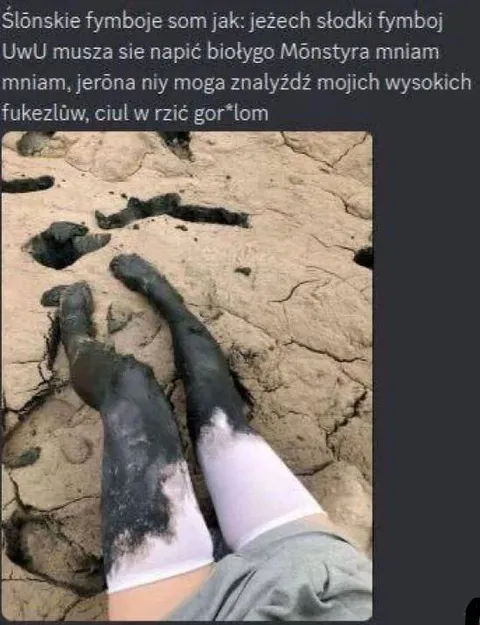 Ślōnskie fymboje w błocie