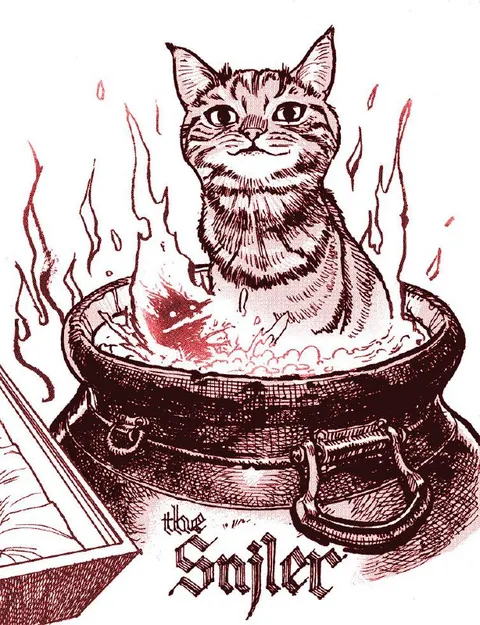 The Cat Boiler