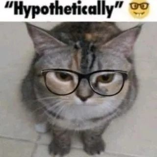 Hypothetically Nerdy Cat