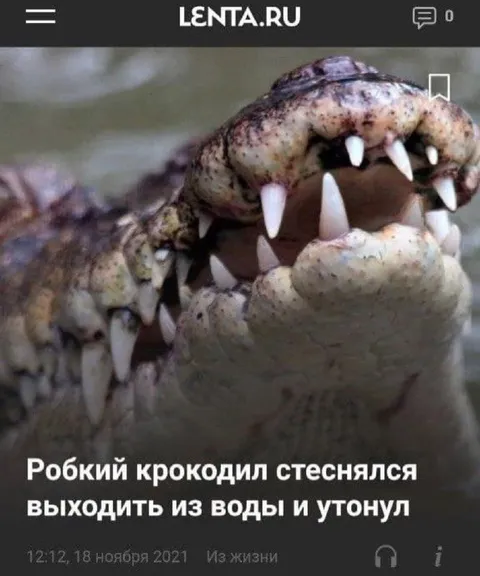 Робкий крокодил утонул