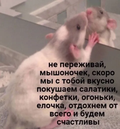 Мышоночек, скоро будем счастливы