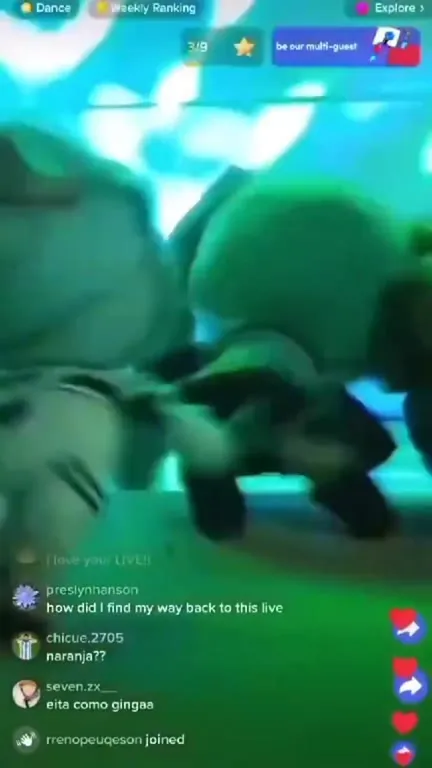 Confused Cats on Live Stream