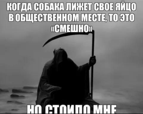 Собака лижет яйцо в общественном месте