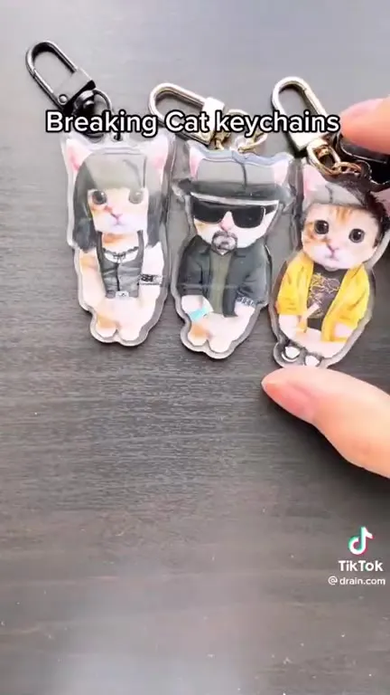 Breaking Cat Keychains