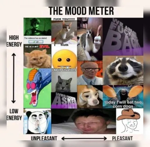 The Mood Meter Energy Chart