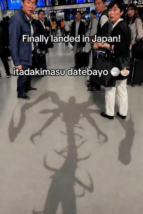 Finally Landed in Japan