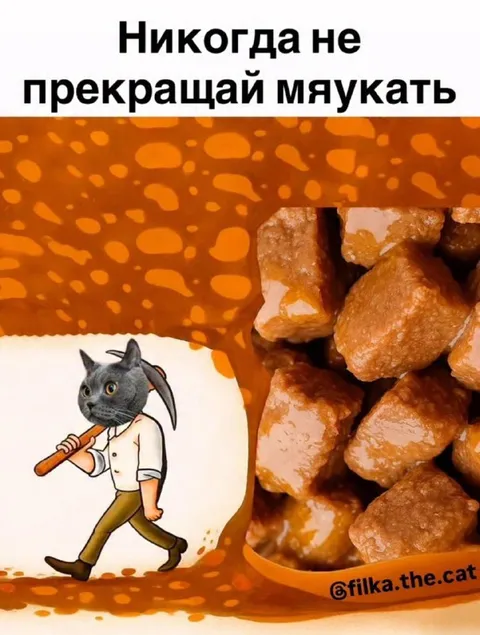 Никогда не прекращай мяукать