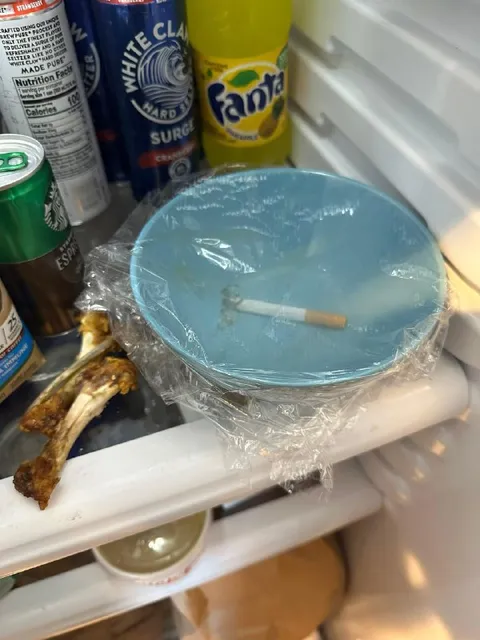 Cigarette in the Fridge