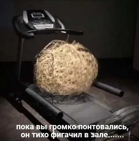 Тихо фигачил в зале