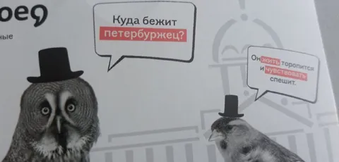 Куда бежит петербуржец