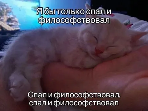 Спал и философствовал