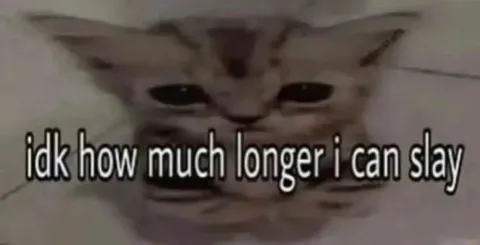 Cat Can’t Slay Much Longer