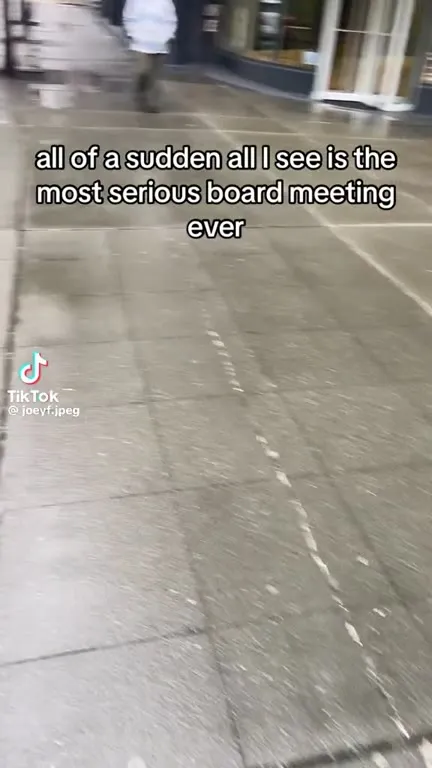 The Most Serious Board Meeting
