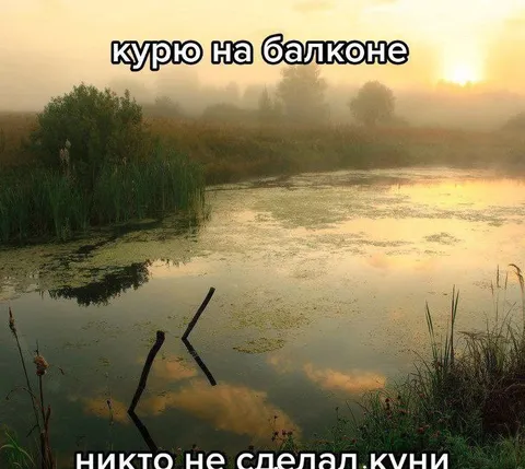 Курю на балконе, но никто не сделал куни