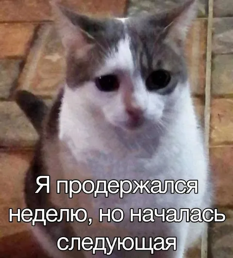 Я продержался неделю