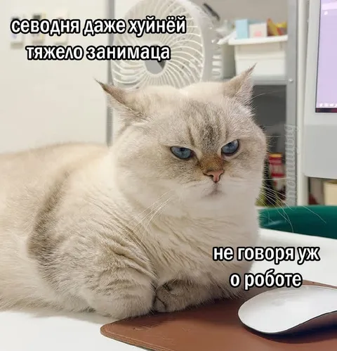 Сегодня тяжело даже хуйнёй заниматься