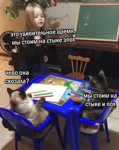 Кошки не поняли пафосную речь