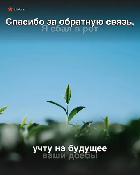Спасибо за обратную связь