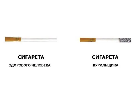 Сигарета здорового человека и курильщика