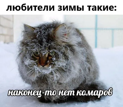 Любители зимы без комаров